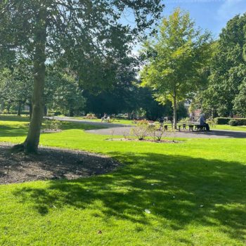 Photo of Victoria Park Trees Macclesfield