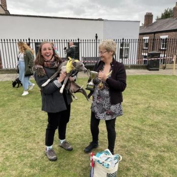 Treacle Market Dog Show