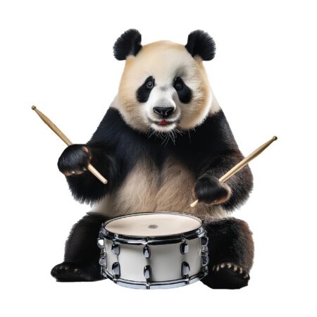 Drum Panda